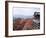 Autumn Leaves, Kiyomizu Temple (Kiyomizu-Dera), Kyoto, Honshu, Japan-null-Framed Photographic Print