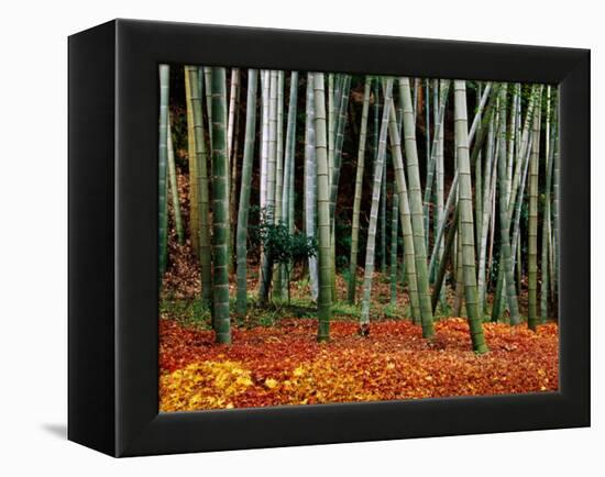 Autumn Leaves on Ground at Saiho-Ji, Kyoto, Japan-Frank Carter-Framed Premier Image Canvas