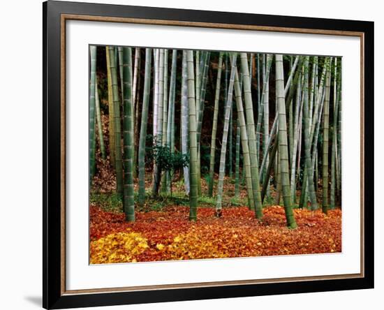 Autumn Leaves on Ground at Saiho-Ji, Kyoto, Japan-Frank Carter-Framed Photographic Print