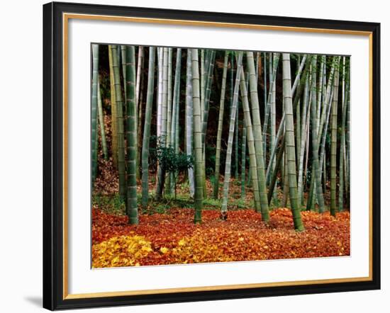 Autumn Leaves on Ground at Saiho-Ji, Kyoto, Japan-Frank Carter-Framed Photographic Print