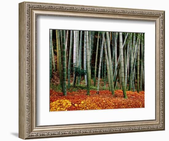 Autumn Leaves on Ground at Saiho-Ji, Kyoto, Japan-Frank Carter-Framed Photographic Print