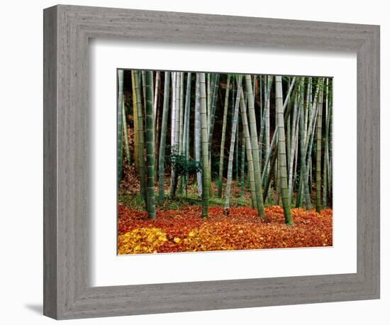 Autumn Leaves on Ground at Saiho-Ji, Kyoto, Japan-Frank Carter-Framed Photographic Print