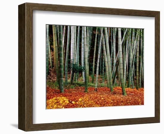 Autumn Leaves on Ground at Saiho-Ji, Kyoto, Japan-Frank Carter-Framed Photographic Print