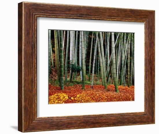 Autumn Leaves on Ground at Saiho-Ji, Kyoto, Japan-Frank Carter-Framed Photographic Print