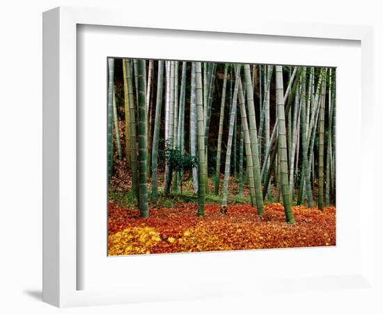 Autumn Leaves on Ground at Saiho-Ji, Kyoto, Japan-Frank Carter-Framed Photographic Print