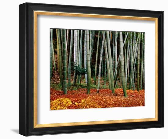 Autumn Leaves on Ground at Saiho-Ji, Kyoto, Japan-Frank Carter-Framed Photographic Print