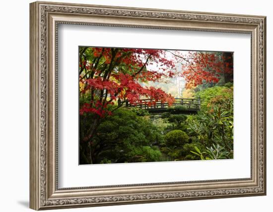 Autumn leaves on trees and footbridge, Japanese garden, Portland, Oregon, USA-Panoramic Images-Framed Photographic Print