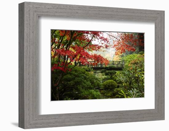 Autumn leaves on trees and footbridge, Japanese garden, Portland, Oregon, USA-Panoramic Images-Framed Photographic Print