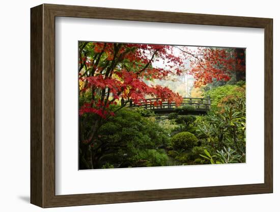 Autumn leaves on trees and footbridge, Japanese garden, Portland, Oregon, USA-Panoramic Images-Framed Photographic Print