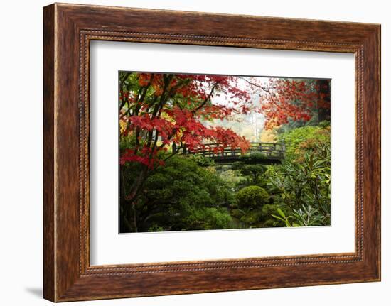 Autumn leaves on trees and footbridge, Japanese garden, Portland, Oregon, USA-Panoramic Images-Framed Photographic Print