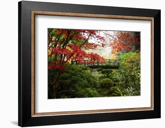 Autumn leaves on trees and footbridge, Japanese garden, Portland, Oregon, USA-Panoramic Images-Framed Photographic Print