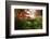 Autumn leaves on trees and footbridge, Japanese garden, Portland, Oregon, USA-Panoramic Images-Framed Photographic Print