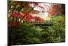 Autumn leaves on trees and footbridge, Japanese garden, Portland, Oregon, USA-Panoramic Images-Mounted Photographic Print