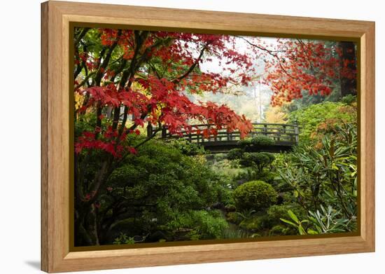 Autumn leaves on trees and footbridge, Japanese garden, Portland, Oregon, USA-Panoramic Images-Framed Premier Image Canvas