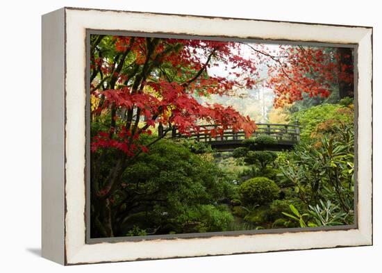 Autumn leaves on trees and footbridge, Japanese garden, Portland, Oregon, USA-Panoramic Images-Framed Premier Image Canvas