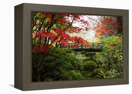 Autumn leaves on trees and footbridge, Japanese garden, Portland, Oregon, USA-Panoramic Images-Framed Premier Image Canvas