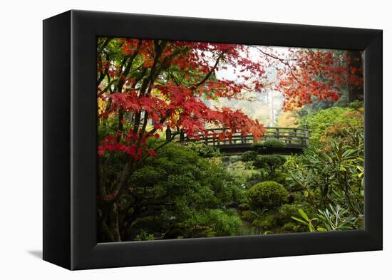 Autumn leaves on trees and footbridge, Japanese garden, Portland, Oregon, USA-Panoramic Images-Framed Premier Image Canvas