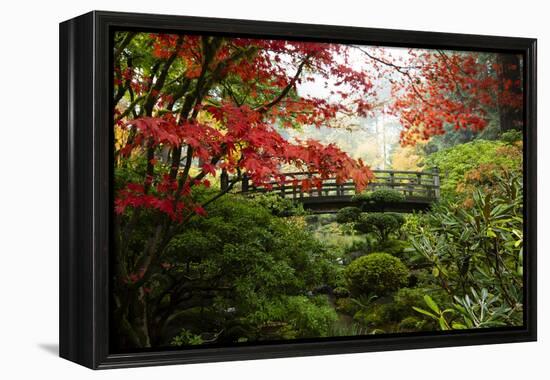 Autumn leaves on trees and footbridge, Japanese garden, Portland, Oregon, USA-Panoramic Images-Framed Premier Image Canvas