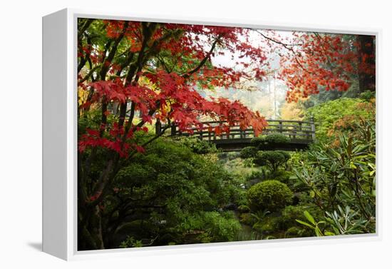 Autumn leaves on trees and footbridge, Japanese garden, Portland, Oregon, USA-Panoramic Images-Framed Premier Image Canvas