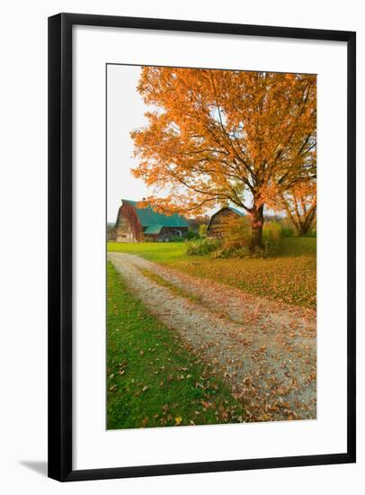 Autumn leaves, red barn and dirt path in Litchfield Hills of Connecticut-null-Framed Photographic Print