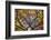 Autumn Leaves, Westonbirt Arboretum, Gloucestershire, England, UK-Peter Adams-Framed Photographic Print