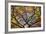 Autumn Leaves, Westonbirt Arboretum, Gloucestershire, England, UK-Peter Adams-Framed Photographic Print