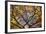 Autumn Leaves, Westonbirt Arboretum, Gloucestershire, England, UK-Peter Adams-Framed Photographic Print