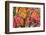 Autumn Leaves, Westonbirt Arboretum, Gloucestershire, England, UK-Peter Adams-Framed Photographic Print