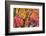 Autumn Leaves, Westonbirt Arboretum, Gloucestershire, England, UK-Peter Adams-Framed Photographic Print