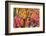 Autumn Leaves, Westonbirt Arboretum, Gloucestershire, England, UK-Peter Adams-Framed Photographic Print