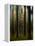 Autumn Leaves-Bjorn Emanuelson-Framed Premier Image Canvas