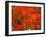 Autumn Leaves-null-Framed Photographic Print