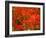 Autumn Leaves-null-Framed Photographic Print