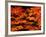 Autumn Leaves-null-Framed Photographic Print