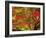 Autumn Leaves-null-Framed Photographic Print