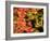 Autumn Leaves-null-Framed Photographic Print