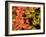 Autumn Leaves-null-Framed Photographic Print