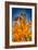 Autumn Leaves-null-Framed Photo