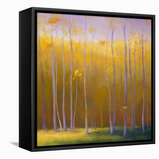 Autumn Leaves-Teri Jonas-Framed Premier Image Canvas