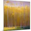 Autumn Leaves-Teri Jonas-Mounted Premium Giclee Print