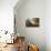 Autumn Light-Viviane Fedieu Daniel-Photographic Print displayed on a wall