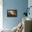 Autumn Light-Viviane Fedieu Daniel-Framed Premier Image Canvas displayed on a wall