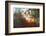 Autumn Light-Viviane Fedieu Daniel-Framed Photographic Print