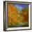 Autumn Light-Sheila Finch-Framed Art Print