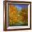 Autumn Light-Sheila Finch-Framed Art Print