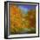 Autumn Light-Sheila Finch-Framed Art Print