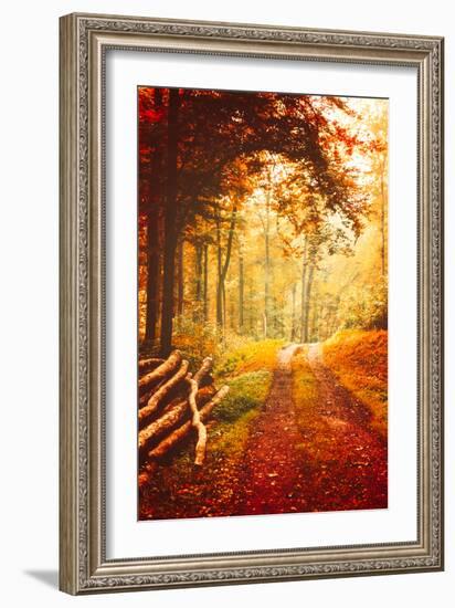 Autumn Lights-Philippe Sainte-Laudy-Framed Photographic Print