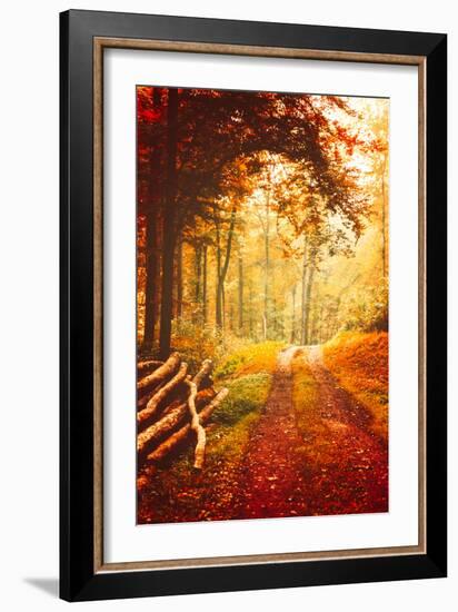 Autumn Lights-Philippe Sainte-Laudy-Framed Photographic Print