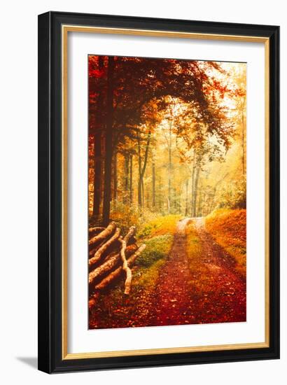 Autumn Lights-Philippe Sainte-Laudy-Framed Photographic Print