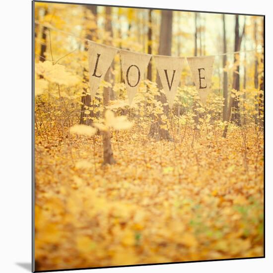 Autumn Love-Irene Suchocki-Mounted Art Print